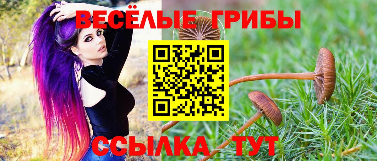 где купить наркоту  Галлюциногенные грибы ЛСД  Вход с VPN  Туапсе 